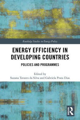 Suzana Tavares da Silva (editor) - Energy Efficiency in Developing Countries