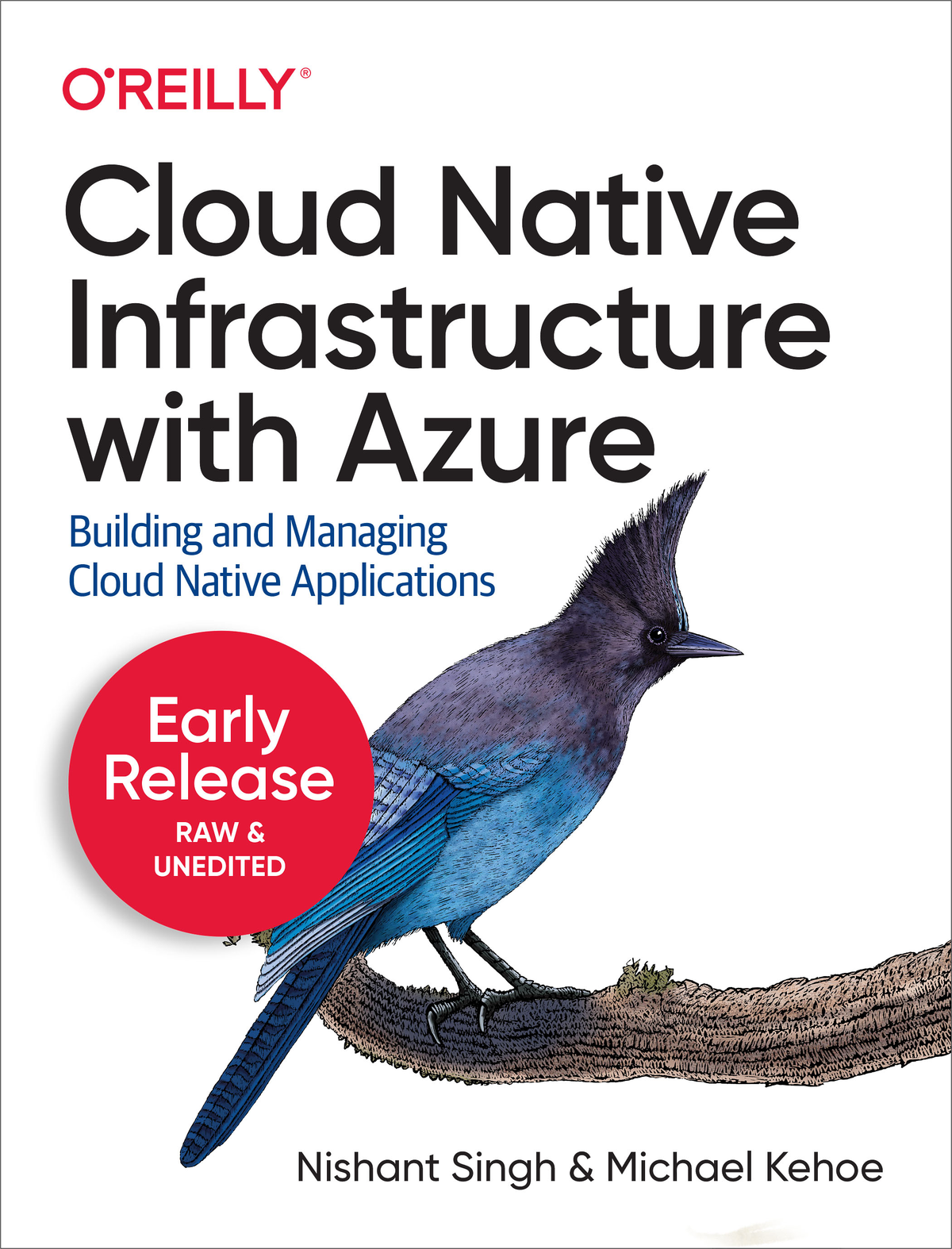 Cloud Native Infrastructure with Azure by Nishant Singh and Michael Kehoe - photo 1