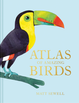 Matt Sewell - Atlas of Amazing Birds