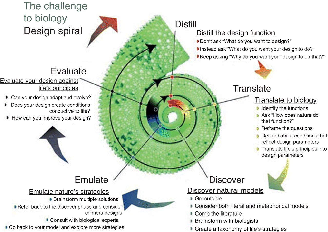 How to use reverse biomimicry in product design Source Reproduced courtesy - photo 4