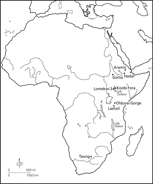 Map showing early sites in Africa Ardipithecus ramidus was not the only - photo 2