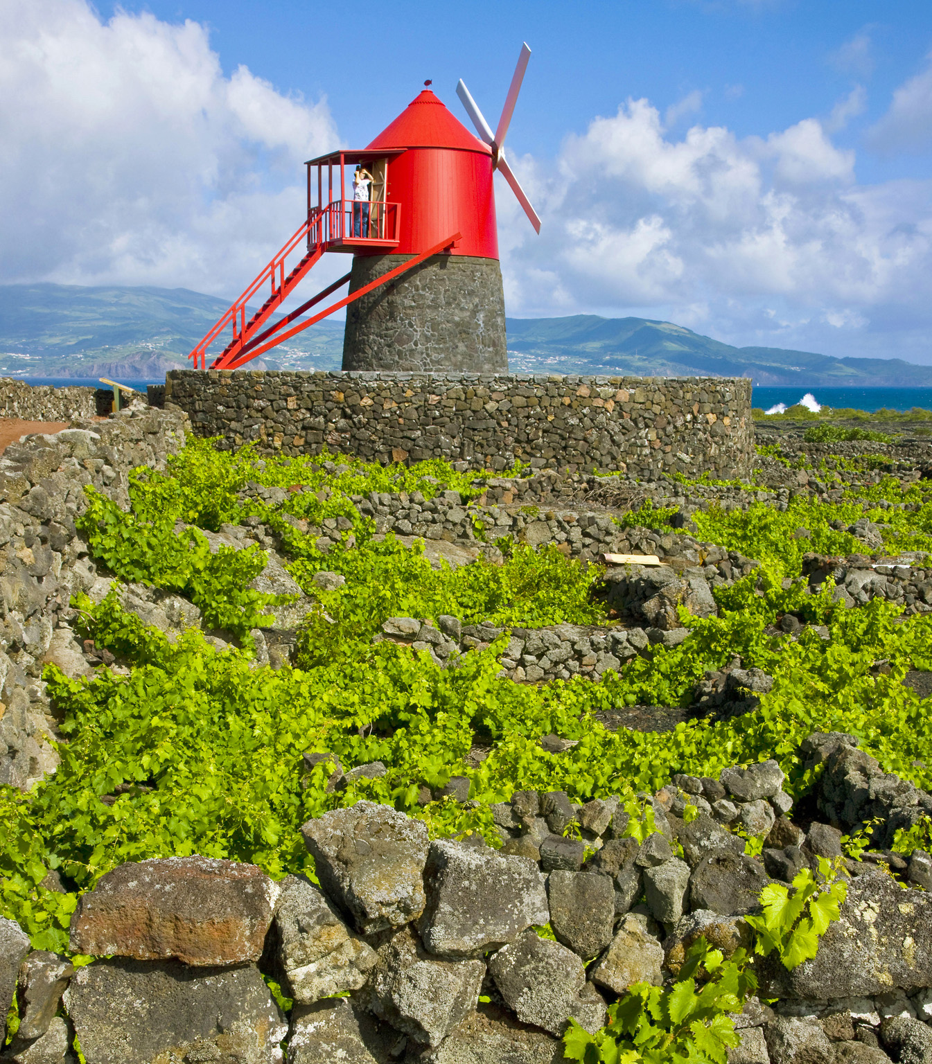 Picos vineyards are protected by UNESCO as a World Heritage Site Day 4 - photo 7