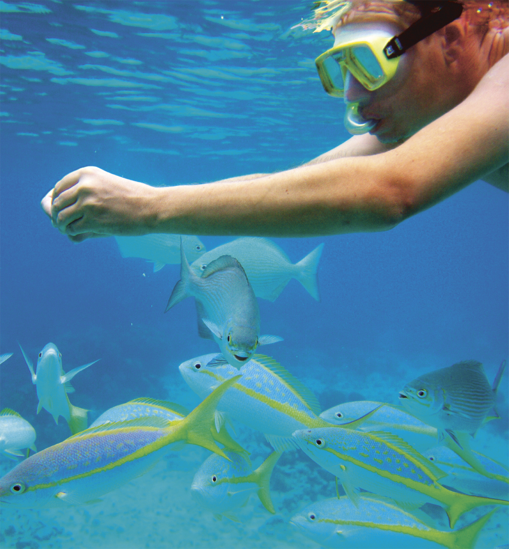 t The crystal-clear turquoise waters off Cubas Caribbean shore teem with - photo 11