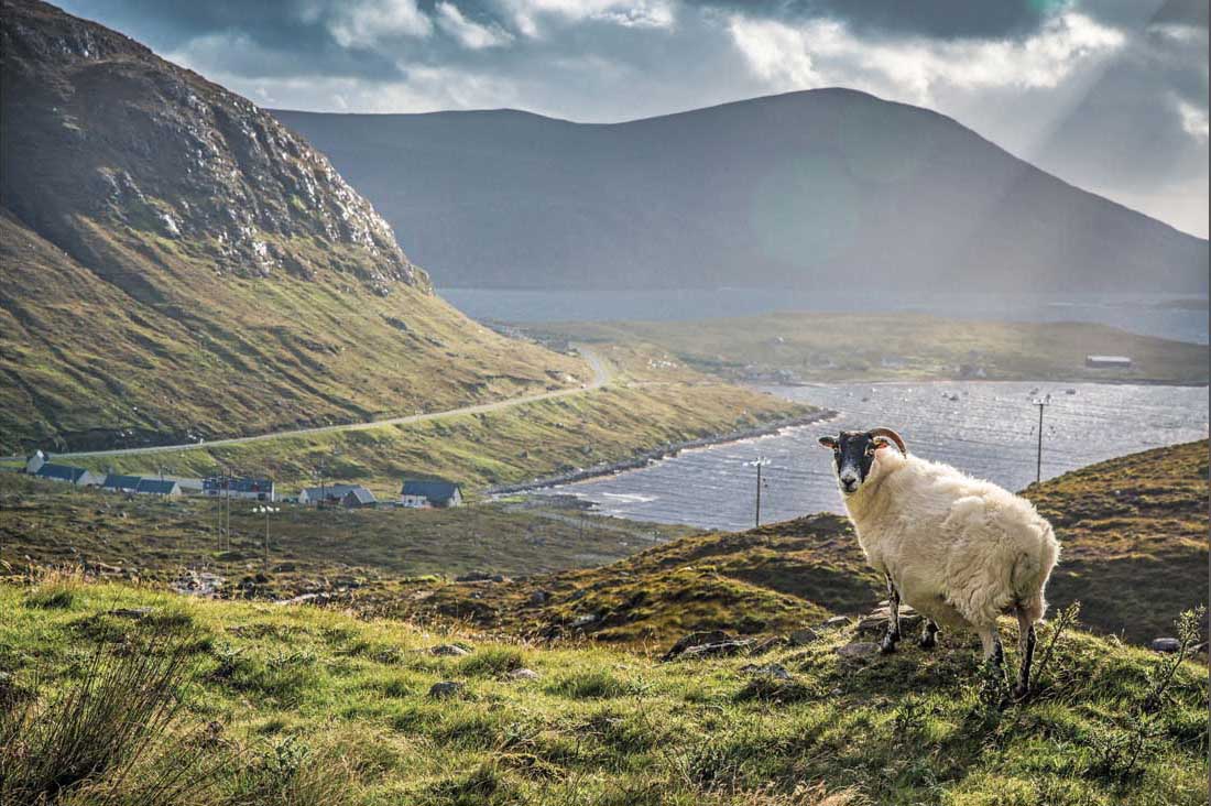 The Hebridean Baker Recipes and Wee Stories from the Scottish Islands - image 5