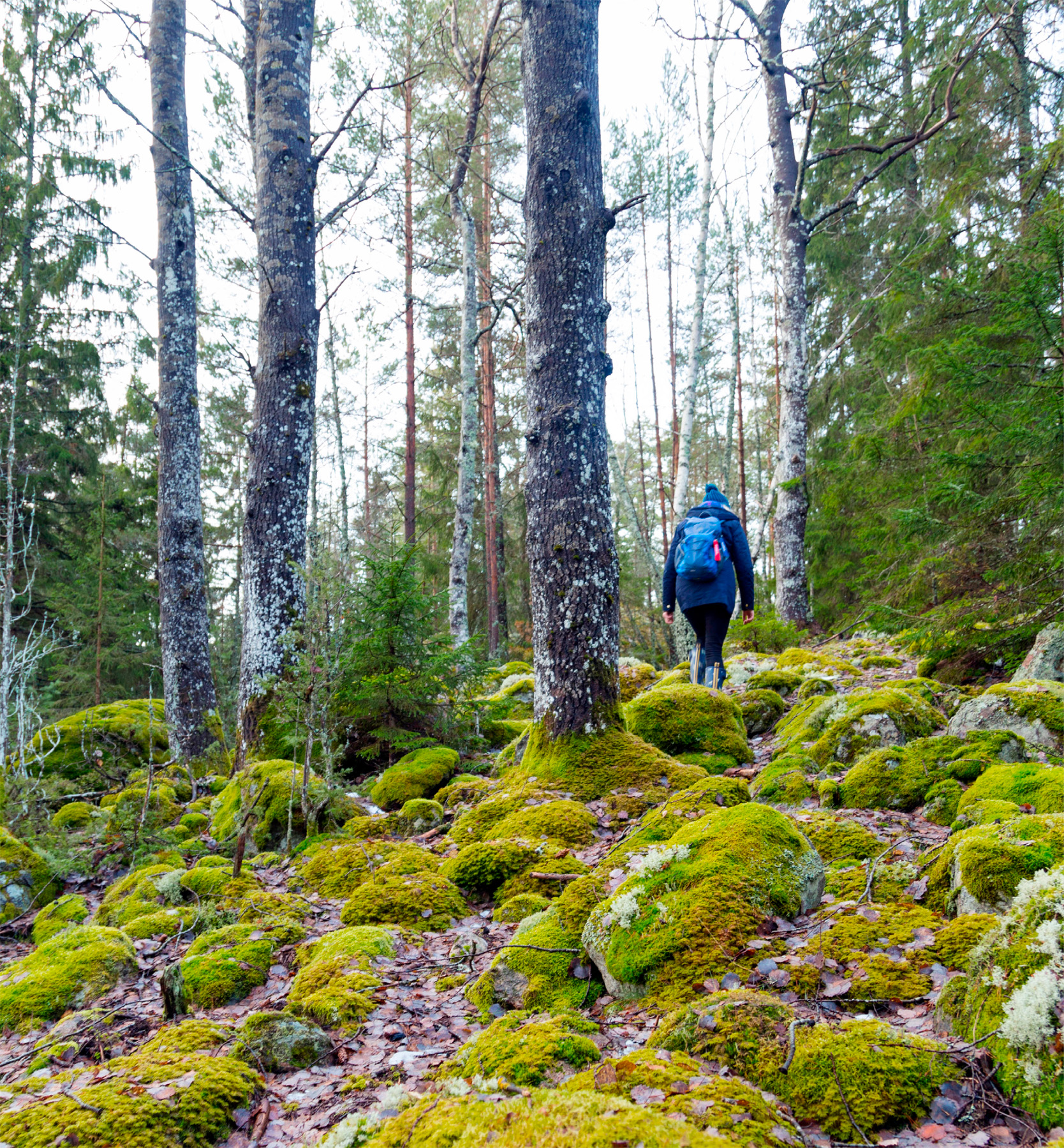 t Spectacular hikes offer unspoiled vistas in Sweden As you glimpse a - photo 12