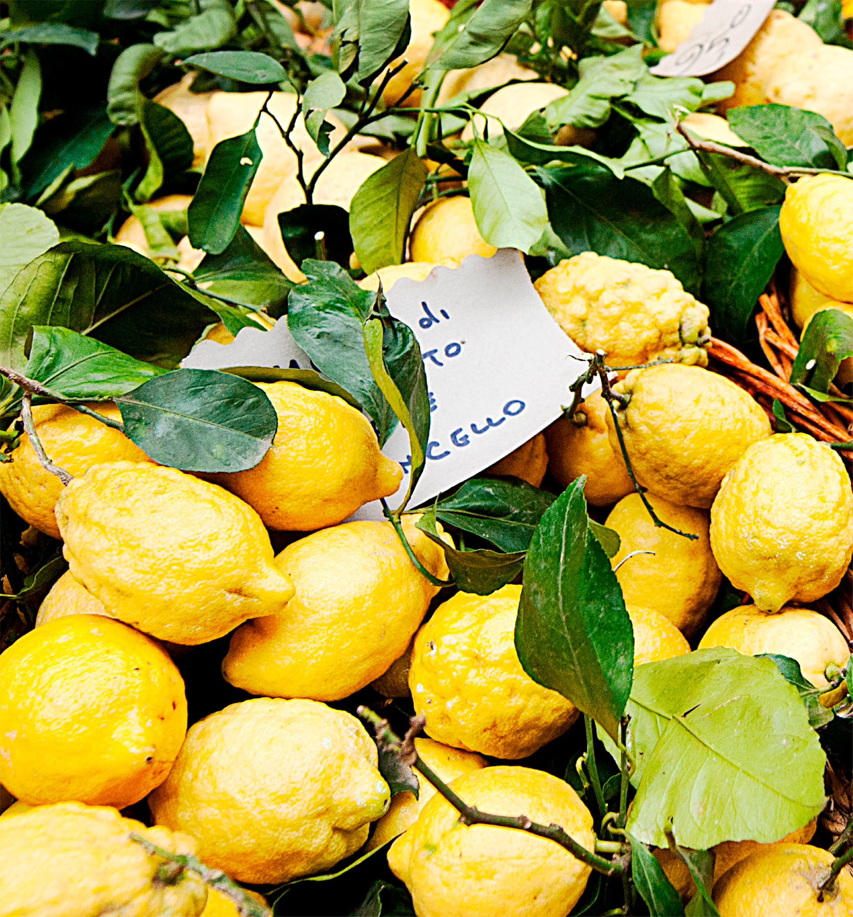 t This local speciality adds a delicious brightness to Neapolitan cooking You - photo 12