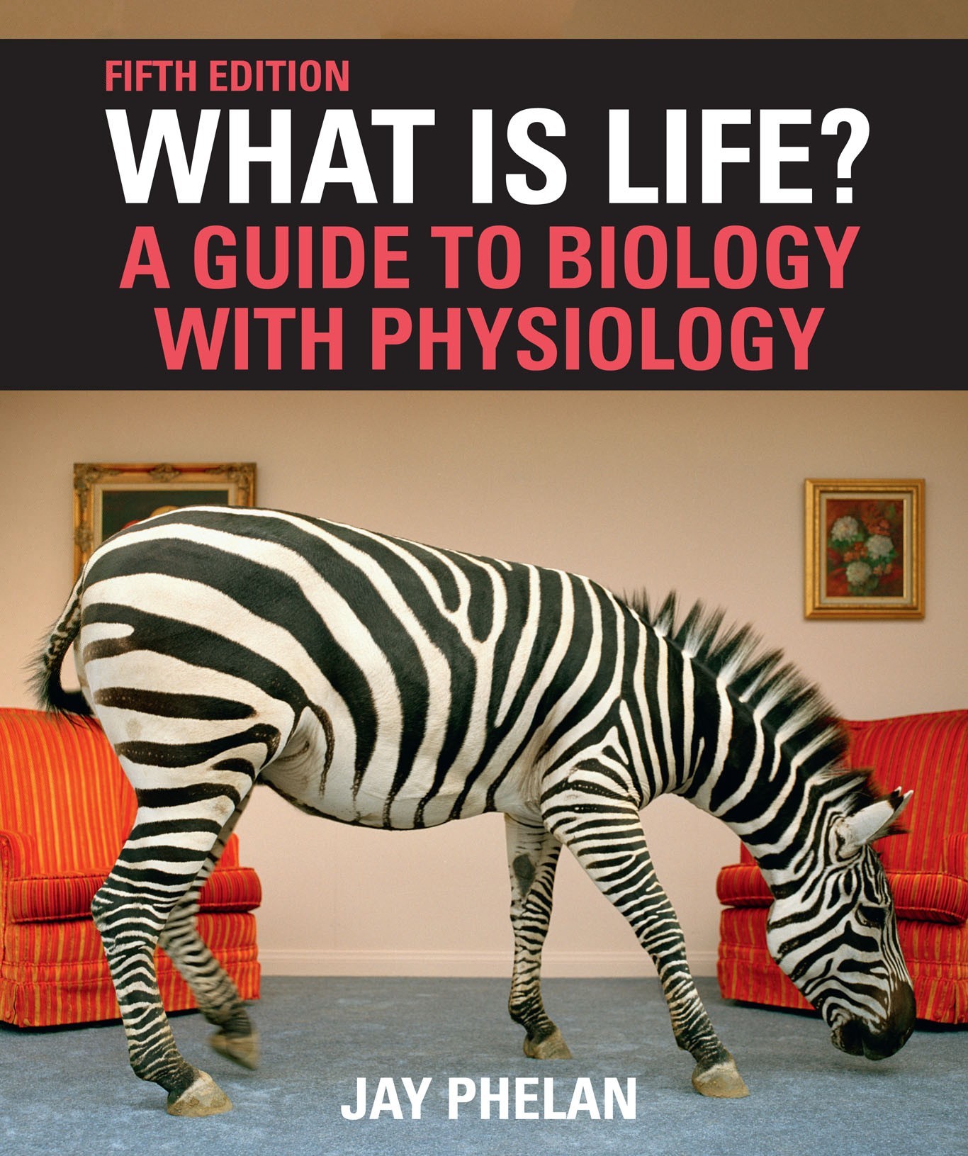 The front cover shows a zebra inside the living room of a house What is - photo 1