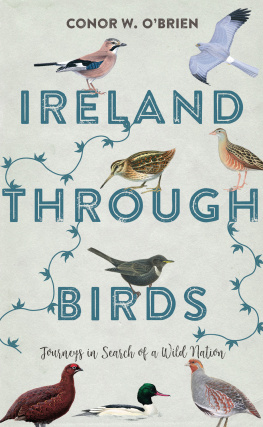 Conor W. OBrien Ireland Through Birds: Journeys in Search of a Wild Nation