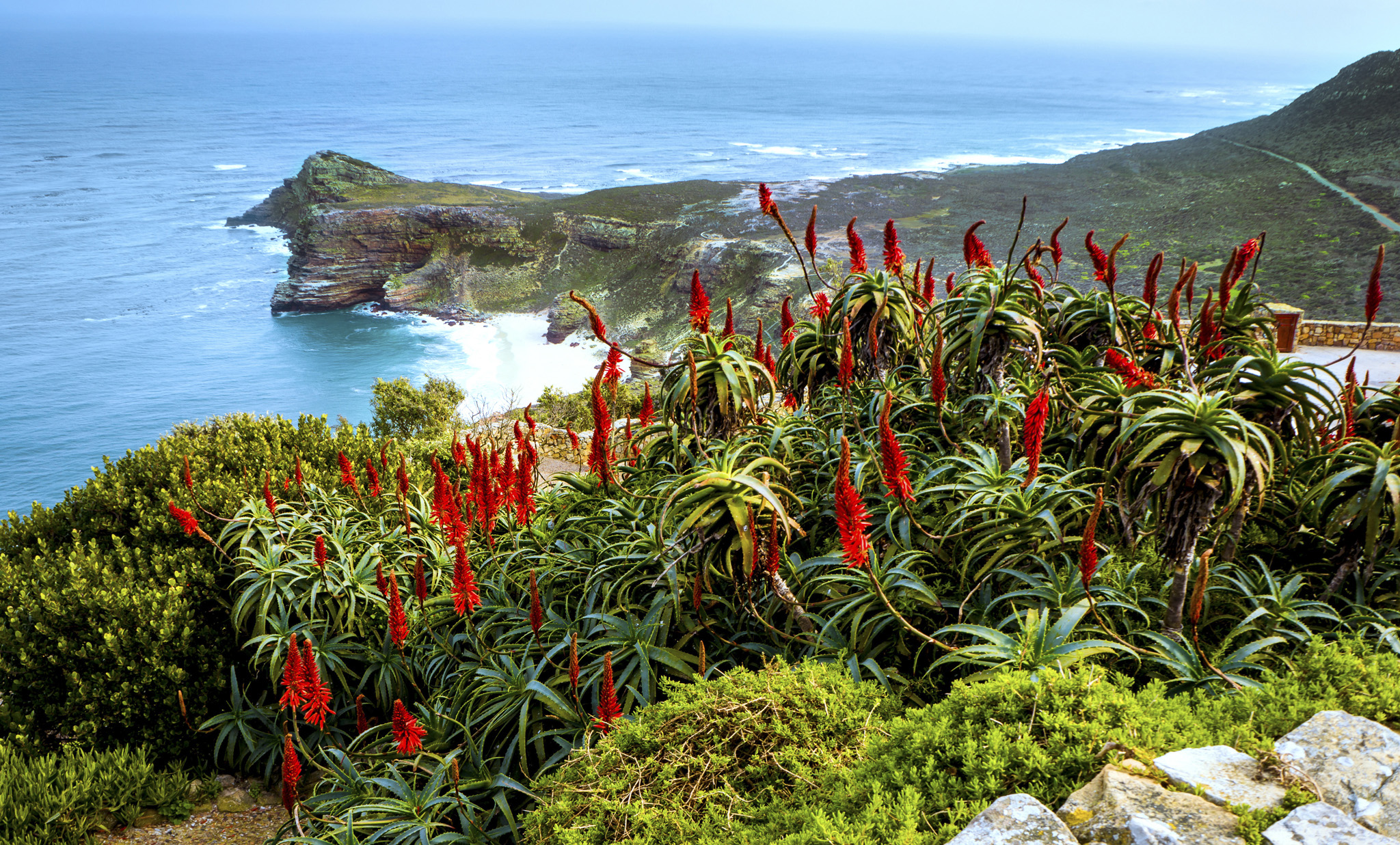 View from Cape Point overlooking the Cape of Good Hope Top 10 Cape Town and - photo 6