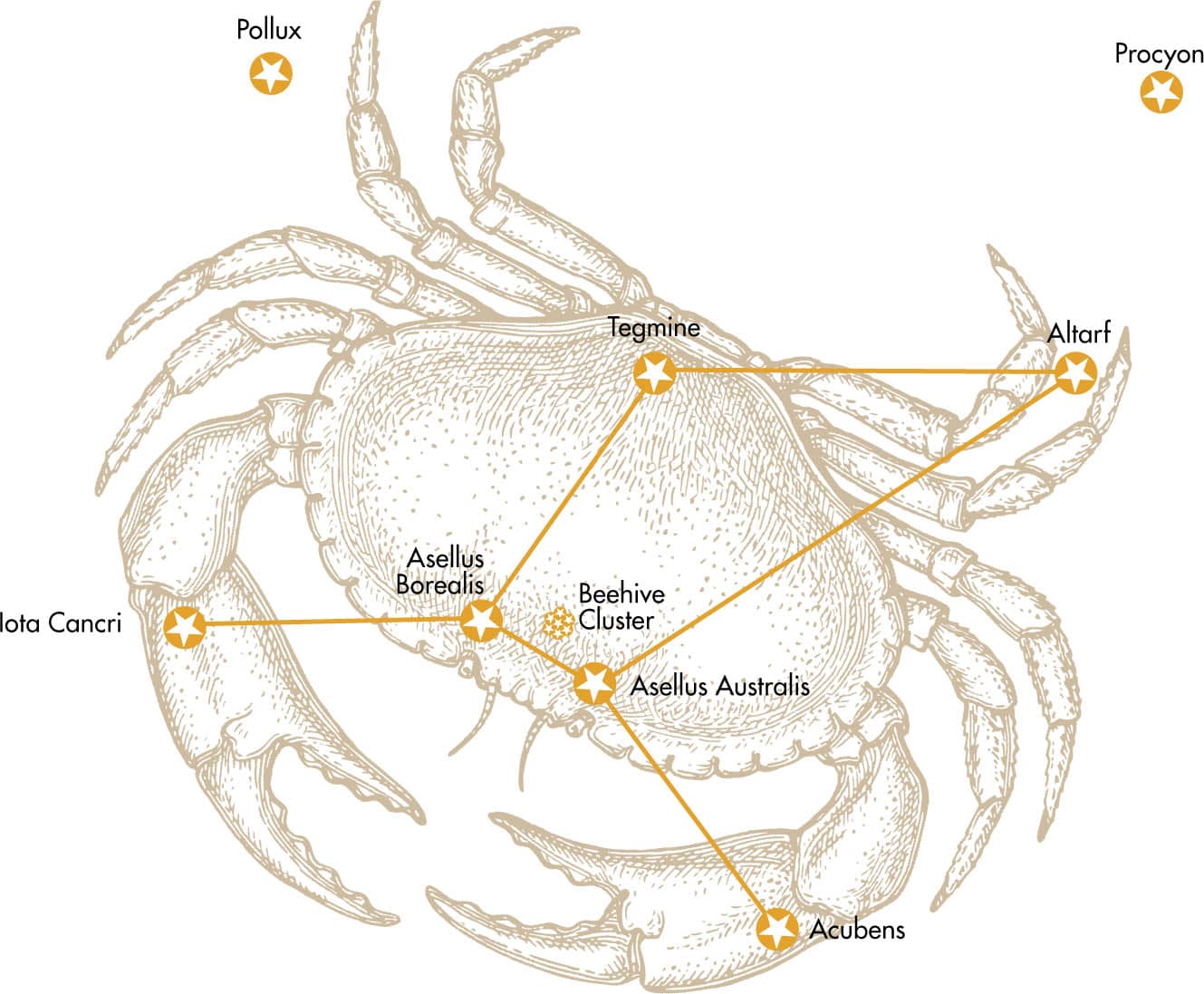 The ancient Sumerians were probably the first to recognize the constellation - photo 12