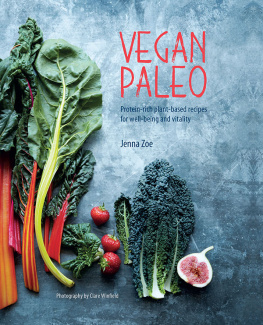 Jenna Zoe Vegan Paleo: Protein-rich plant-based recipes for well-being and vitality