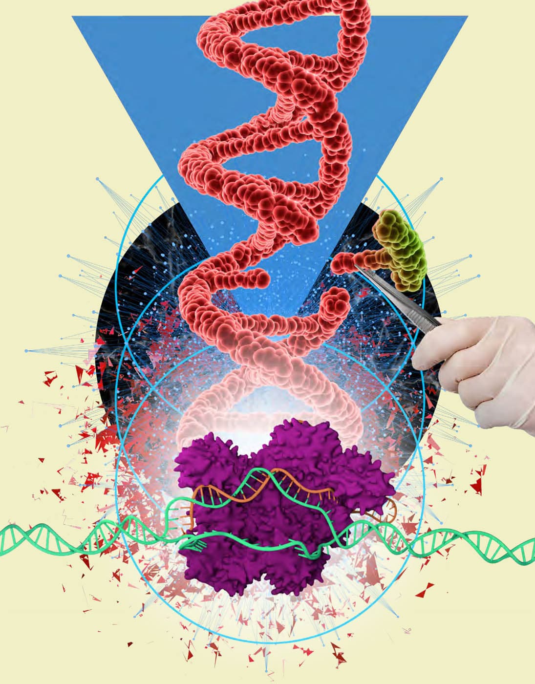 30-Second Biochemistry The 50 vital processes in and around living organisms each explained in half a minute - image 5