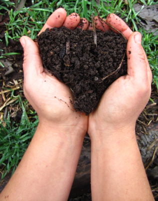 Soilis at the heart of a healthy garden When my husband wants tomake my - photo 1