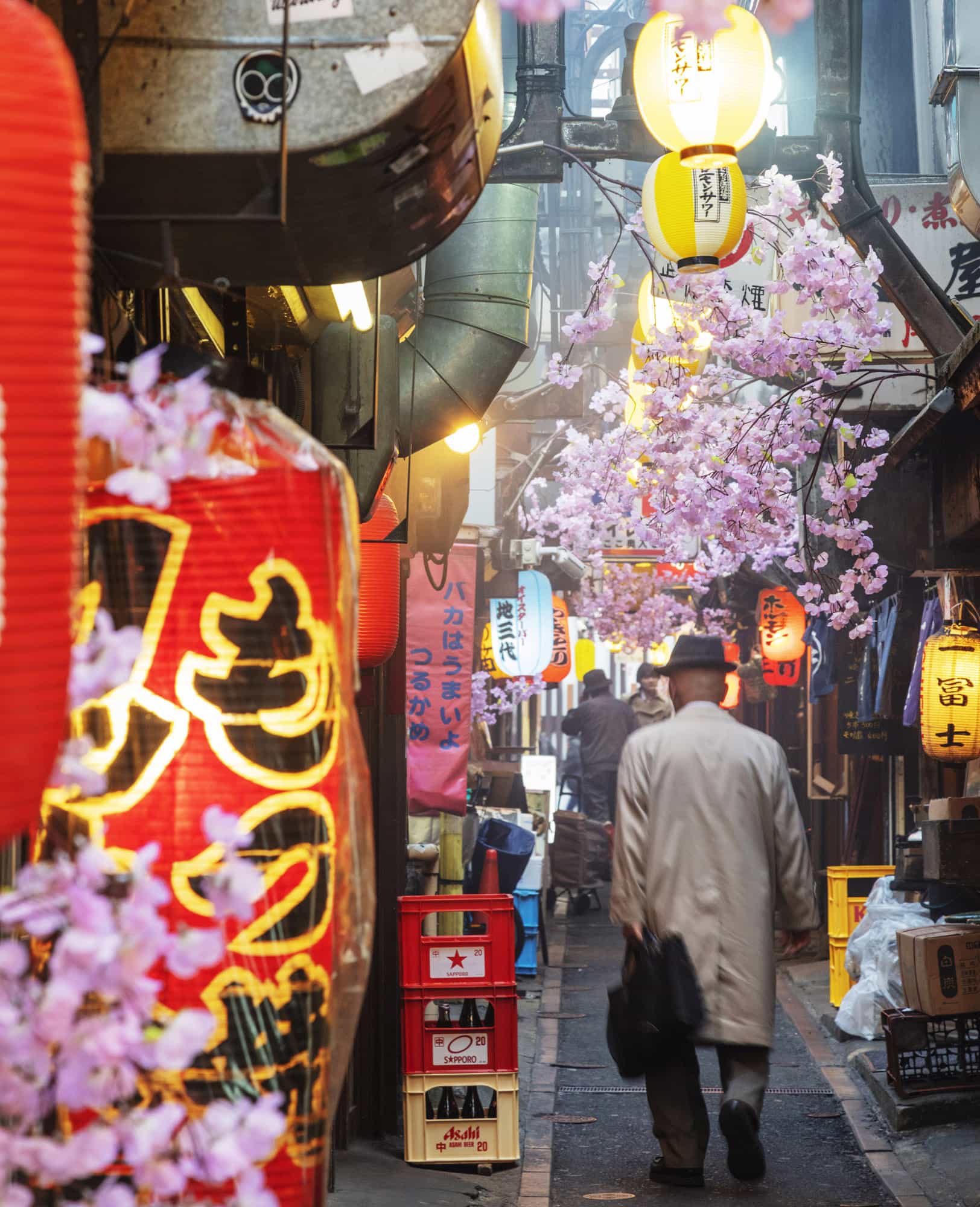 Christian KoberAWL Images Contents Alamy Introduction to Tokyo With its - photo 3