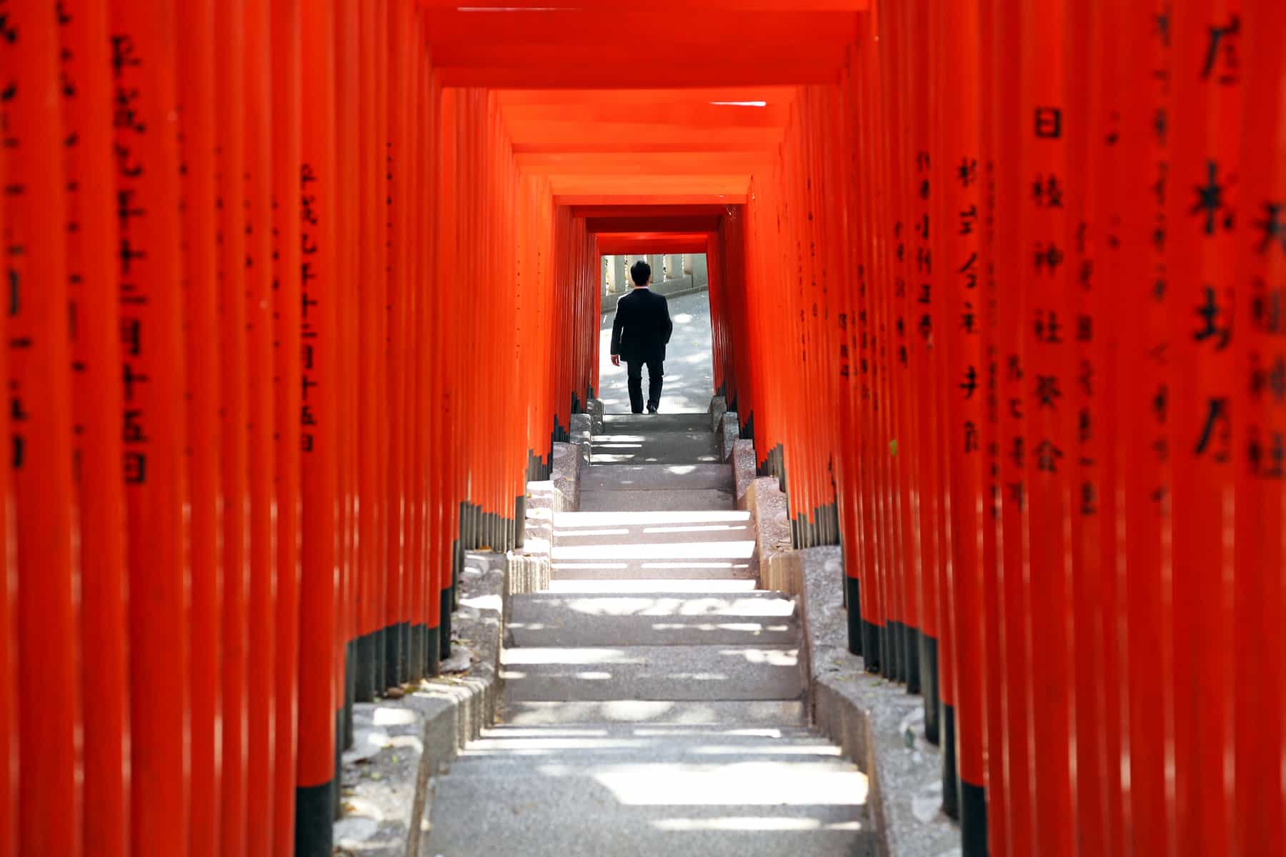 Alamy Introduction to Tokyo With its sushi and sumo geisha and gardens neon - photo 4