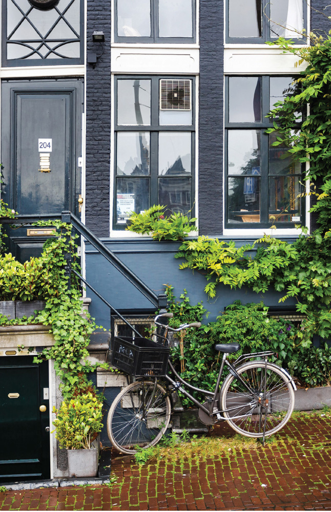 iStock HANDSOME AMSTERDAM HOUSE Contents Alamy Introduction to Amsterdam - photo 3