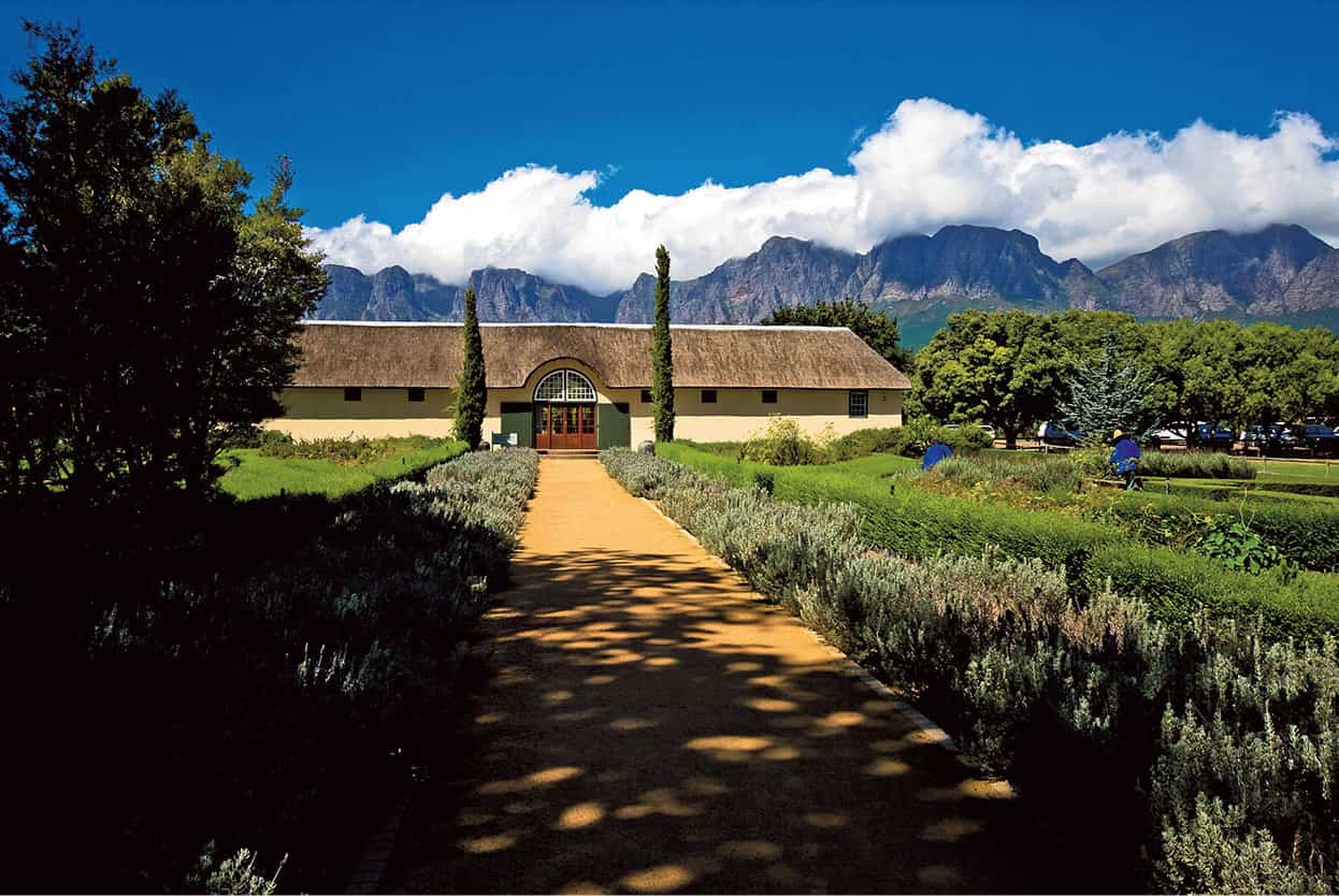 Top Attraction 8 Alex HavretApa Publications Cape Winelands Acres of green - photo 11