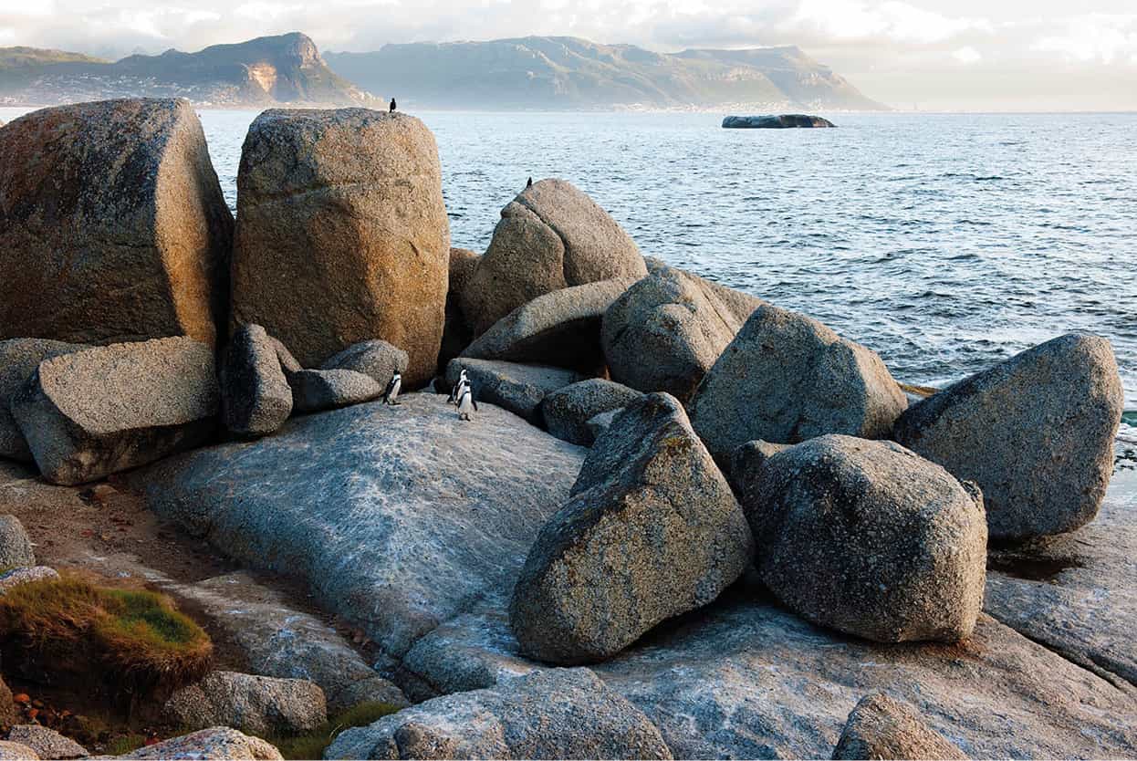 Top Attraction 2 Ariadne Van ZandbergenApa Publications Boulders Beach See - photo 5