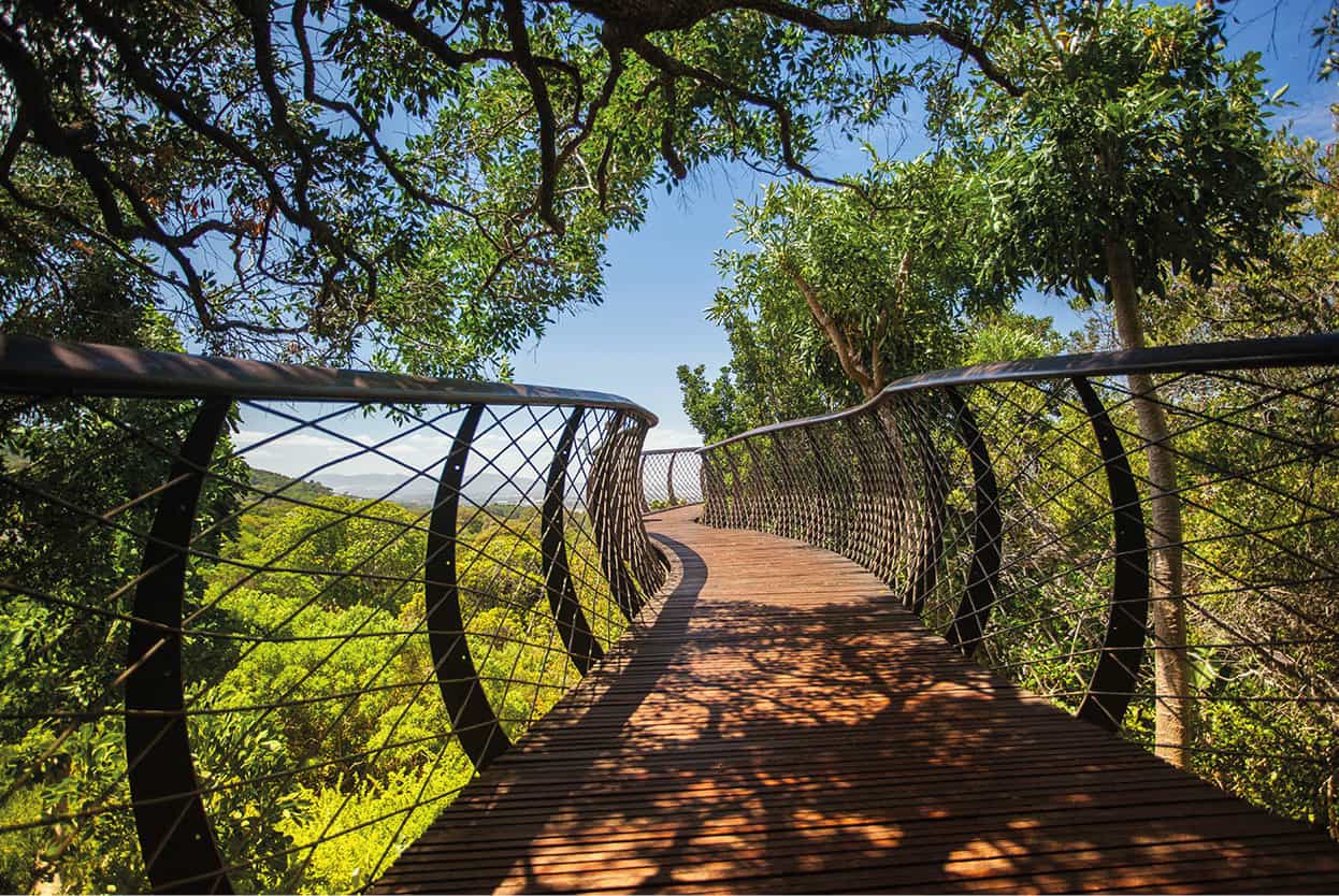 Top Attraction 9 iStock Kirstenbosch National Botanical Garden Home to - photo 12