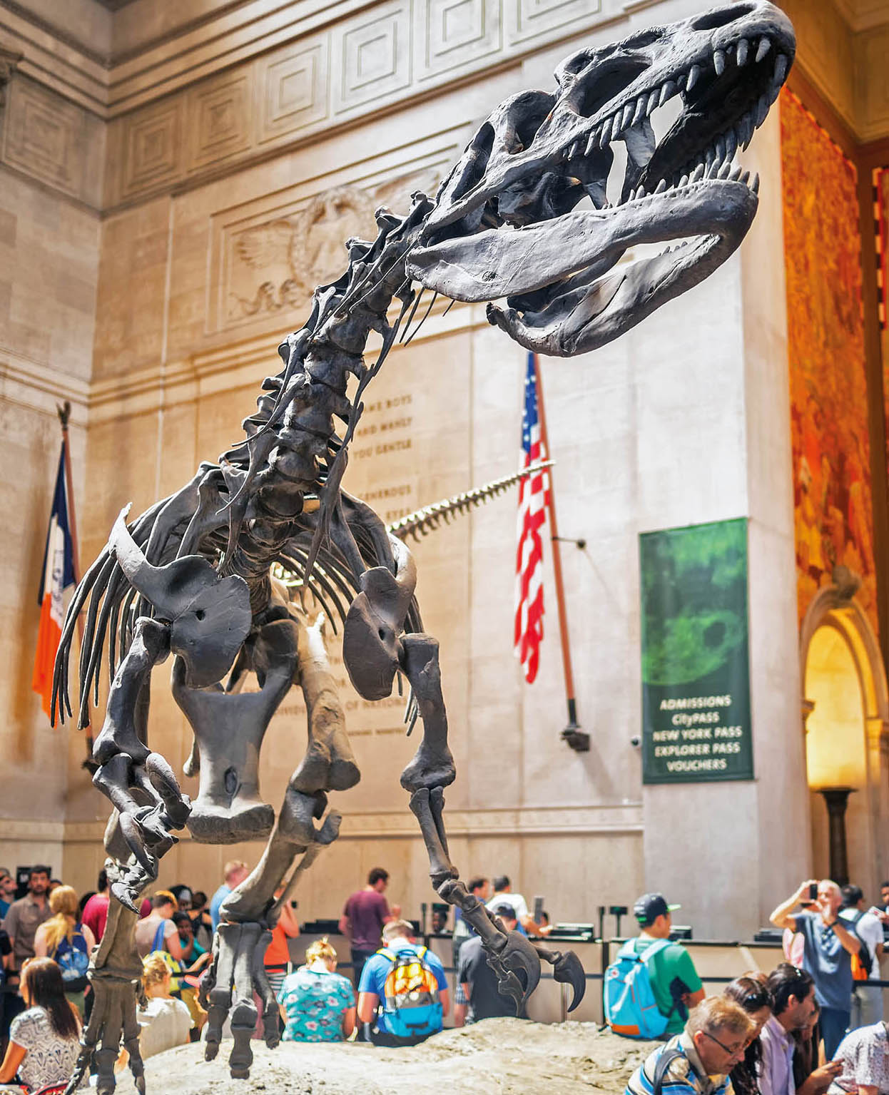 Top Attraction 7 Shutterstock American Museum of Natural History From - photo 10