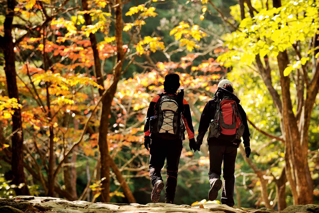 Seoraksan National Park Gangwon South Koreas most popular national park - photo 7