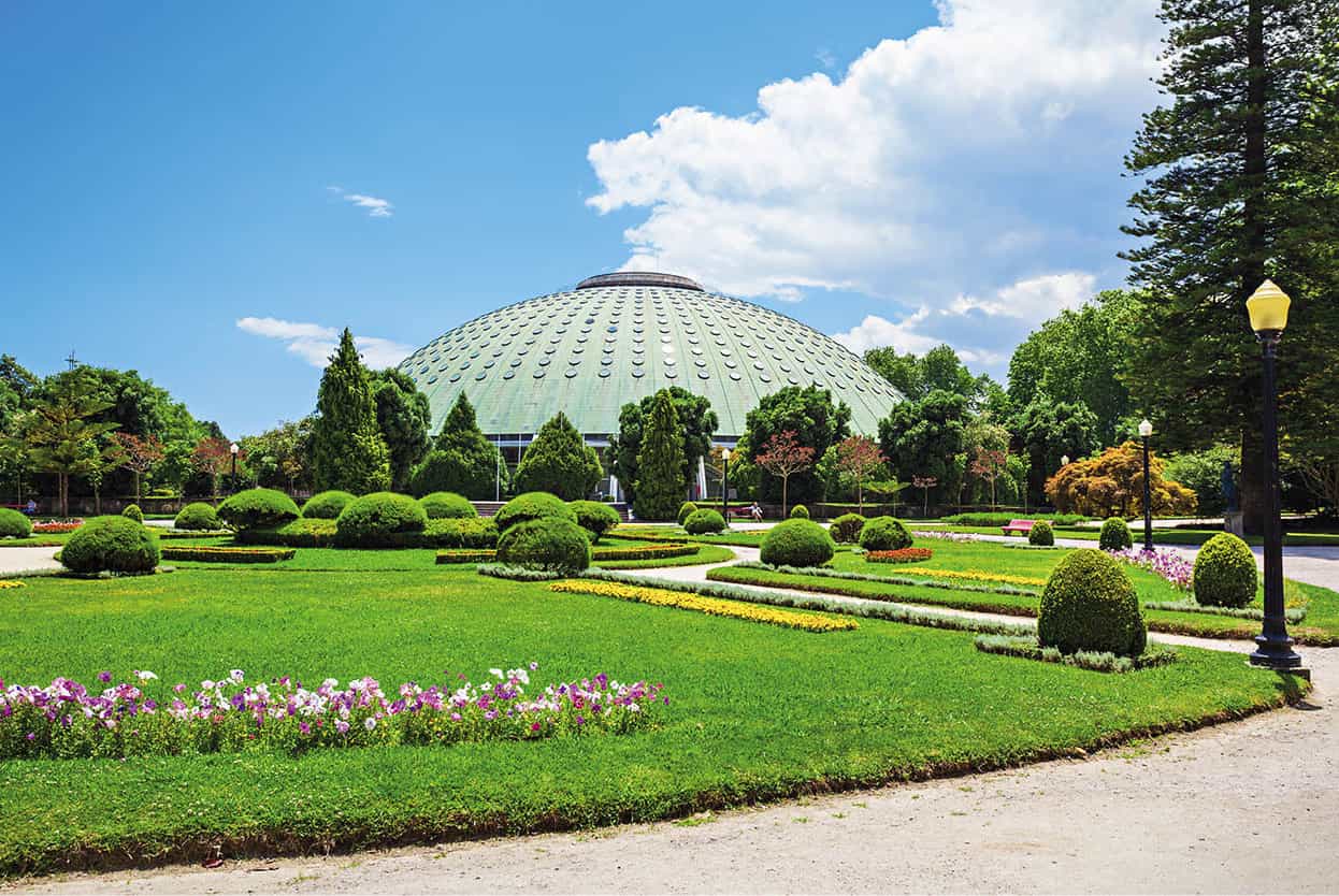 Top Attraction 6 Shutterstock Jardim do Palcio de Cristal Romantic gardens - photo 9