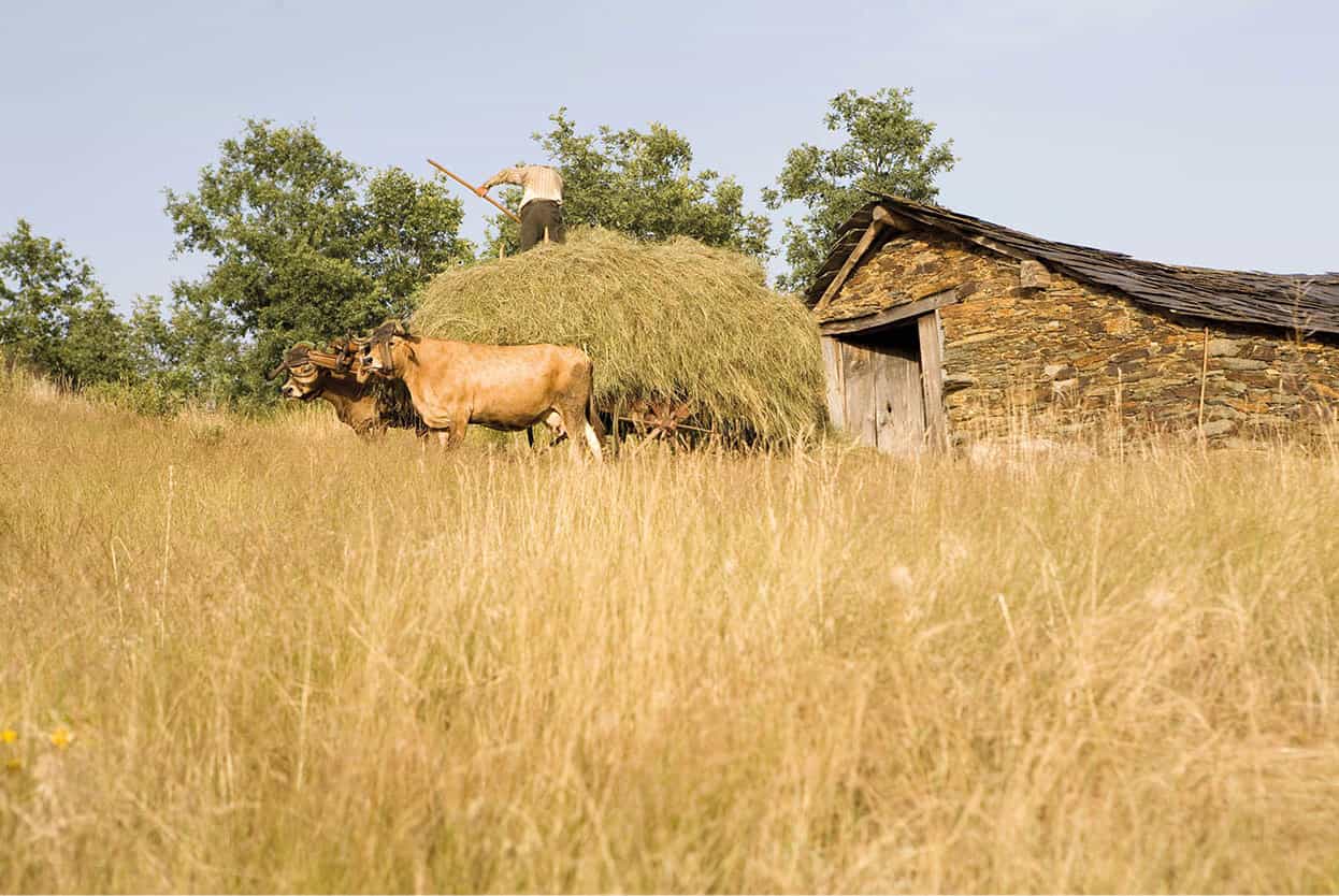 Top Attraction 4 Lydia EvansApa Publications Trs-os-Montes Witness Portuguese - photo 7