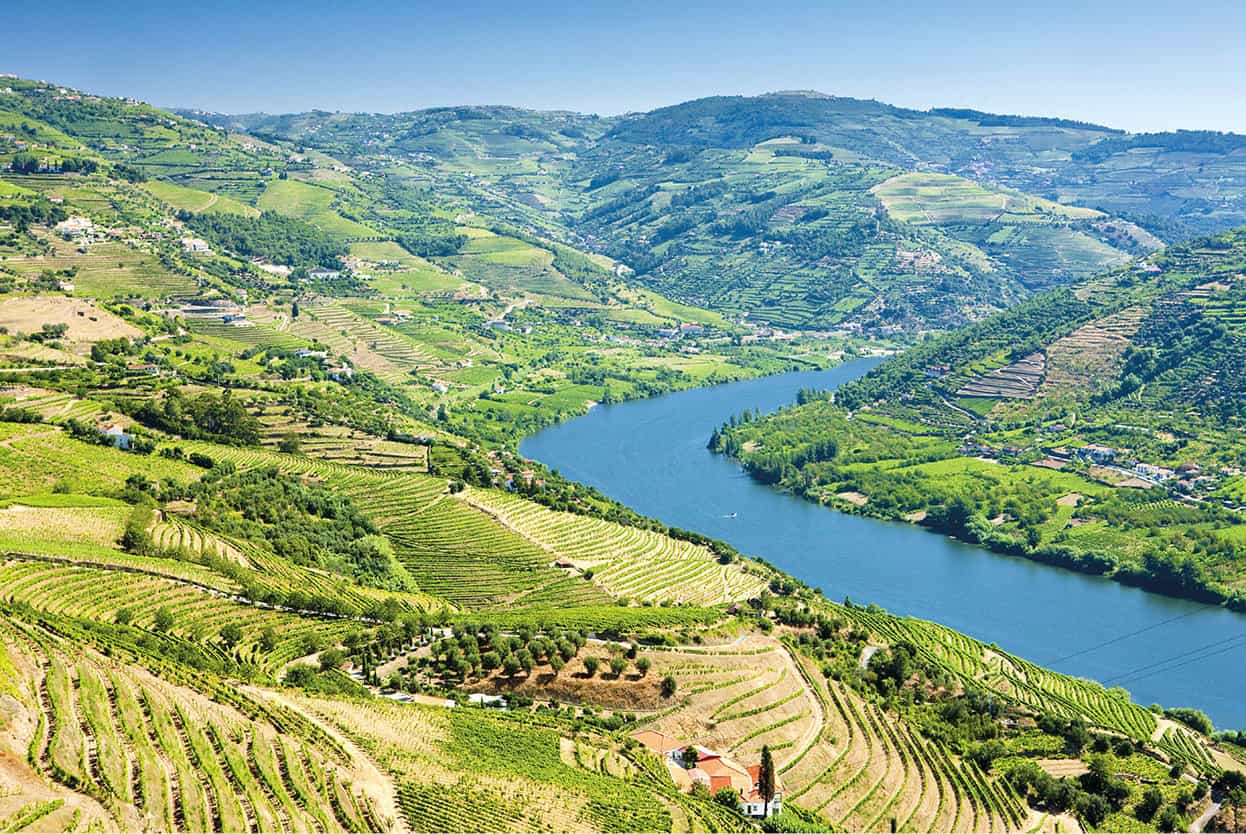 Top Attraction 8 Shutterstock Douro Valley One of Portugals prettiest regions - photo 11