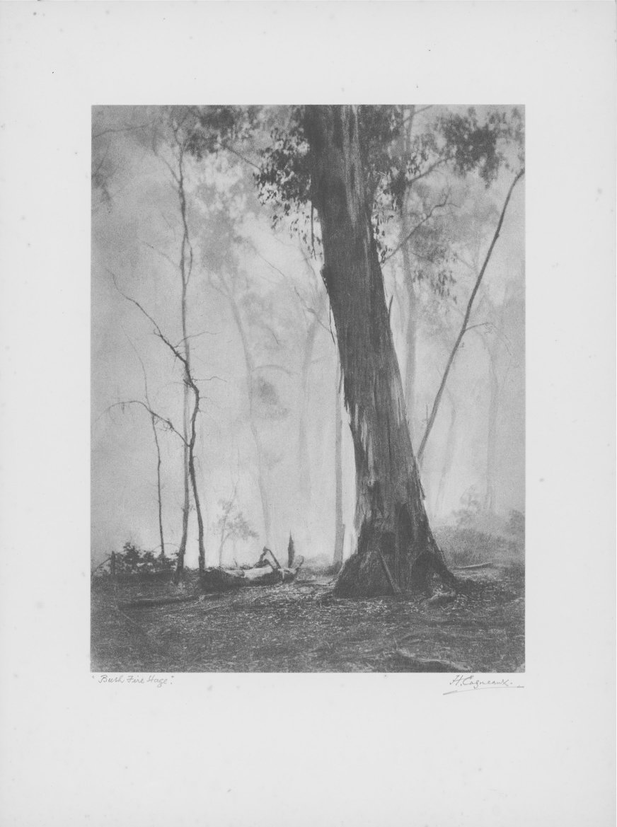 Harold Cazneaux Bush Fire Haze Mt Talbingo NSW 1932 courtesy of the - photo 1