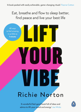 Richie Norton Lift Your Vibe