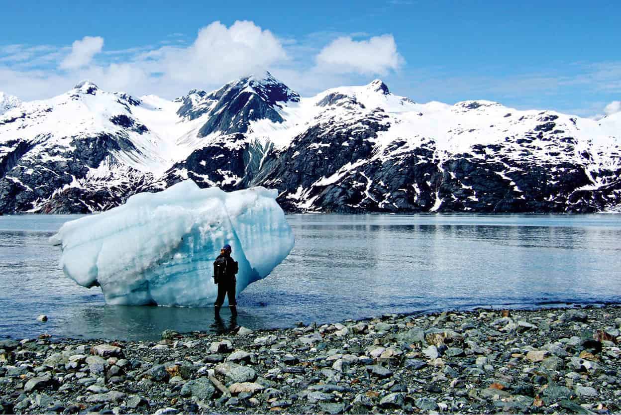 Glacier Bay National Park and Preserve Sixteen tidewater glaciers flow down - photo 7