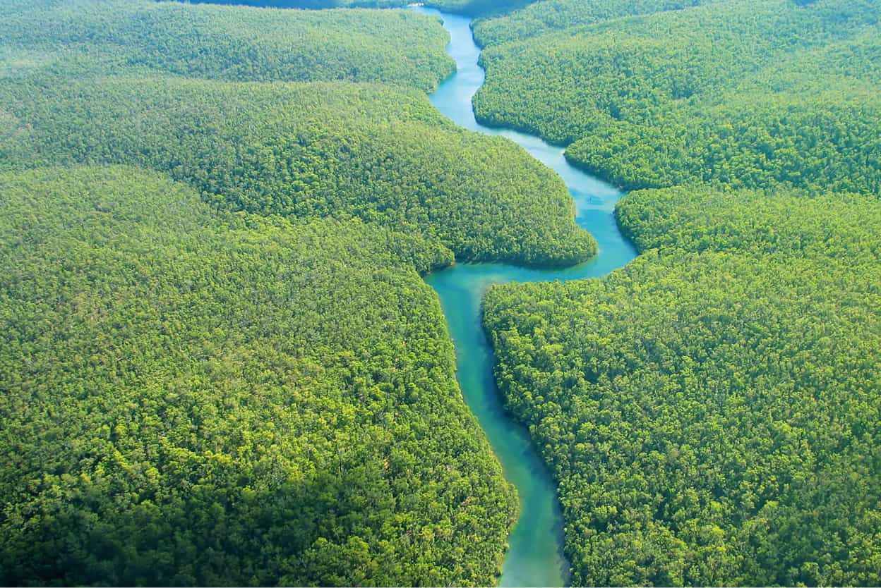 Amazon Amazonia the lungs of the world supports 30 percent of all known - photo 8