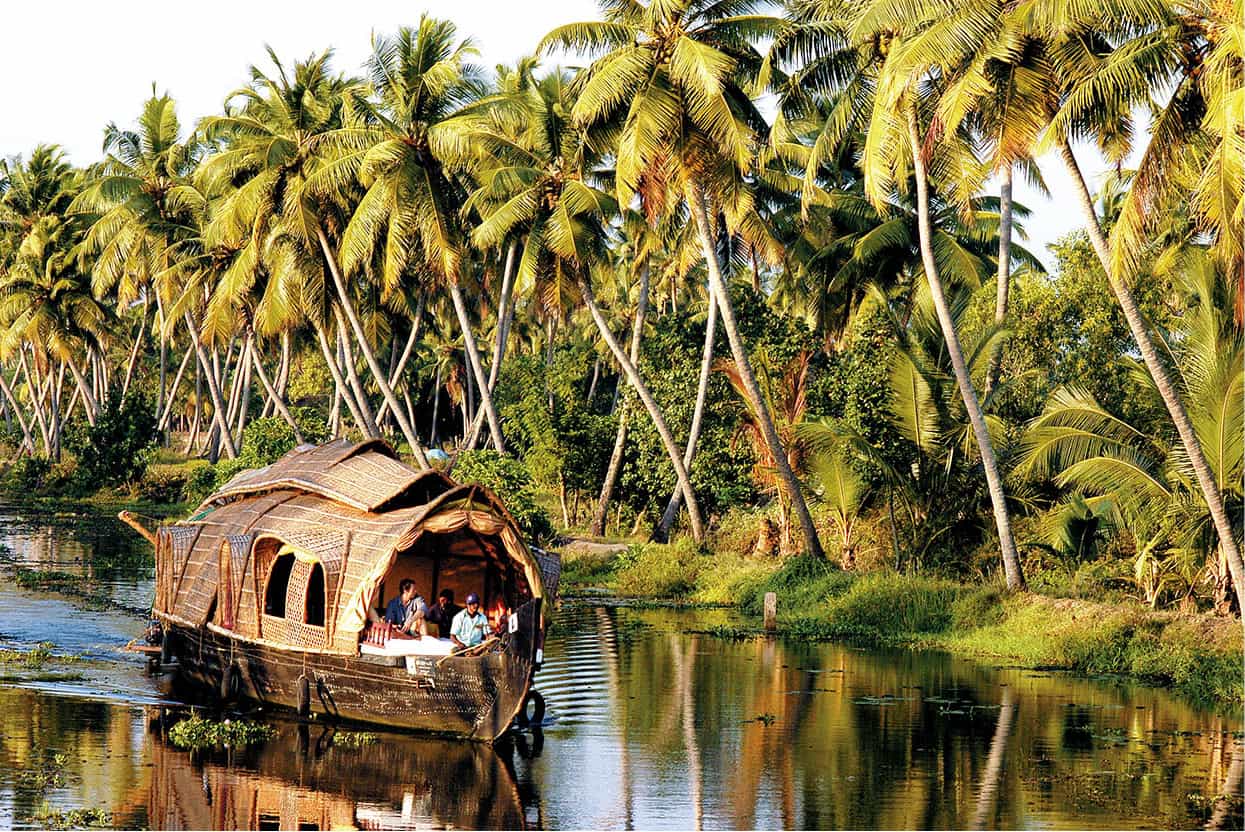 Kerala The intense greens of the Kerala backwaters overhung by innumerable - photo 4