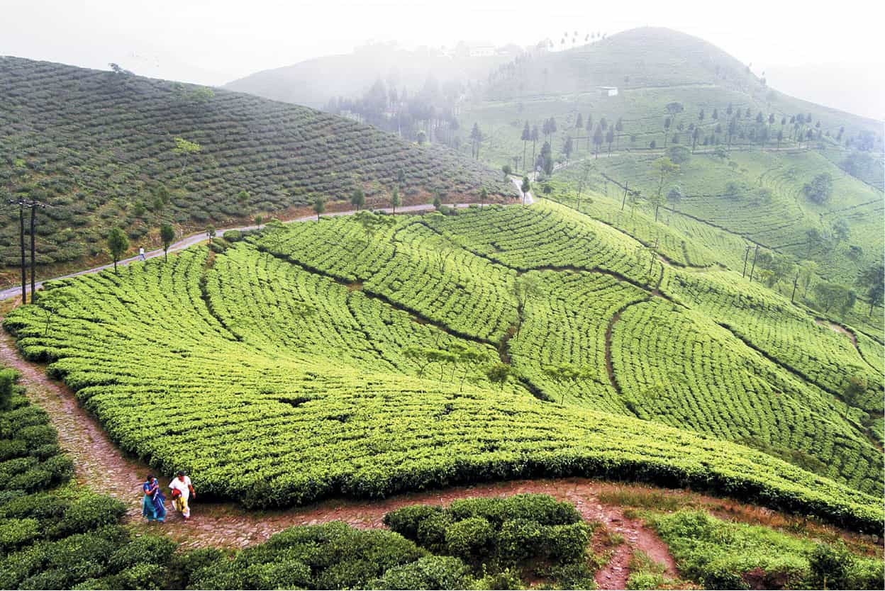 Darjeeling A summertime retreat for the British Raj the city has - photo 12