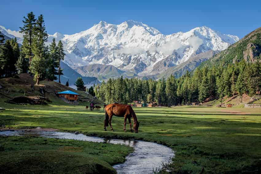 Nanga Parbat This awesome peak dubbed Killer Mountain for being a particularly - photo 8