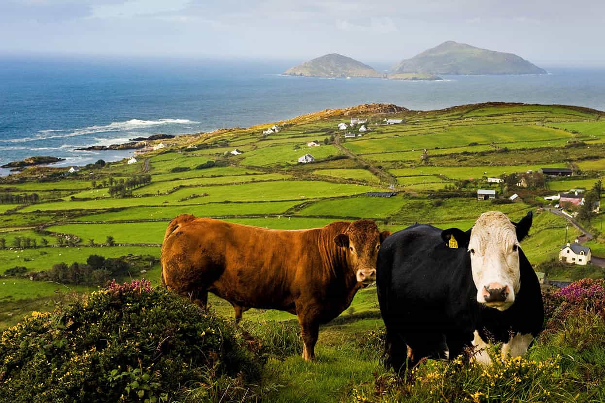 The Wild Atlantic Way This scenic drive takes in the famous Ring of Kerry - photo 8