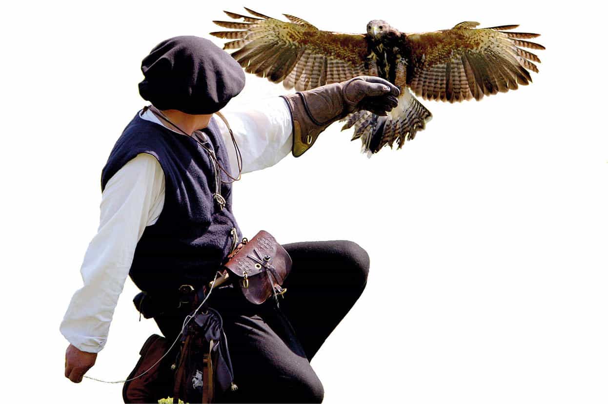 Falconry display at Hampton Court Palace Historic Royal Palaces The finest - photo 14