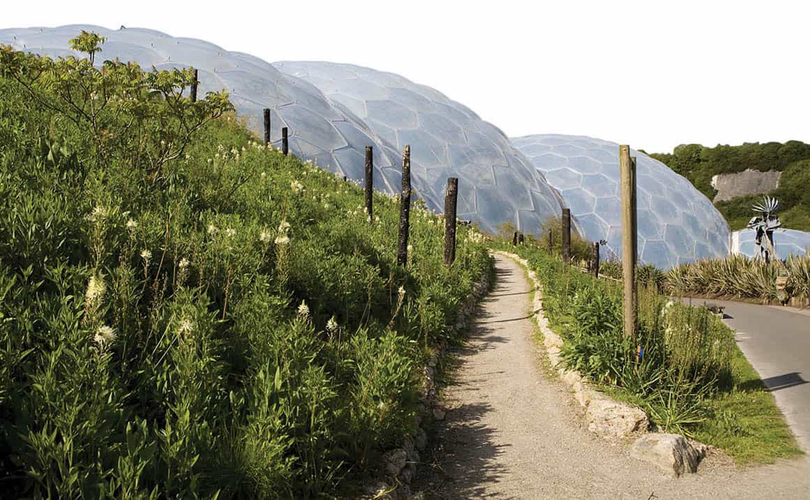 The Eden Project An award-winning eco-friendly garden paradise contained - photo 7