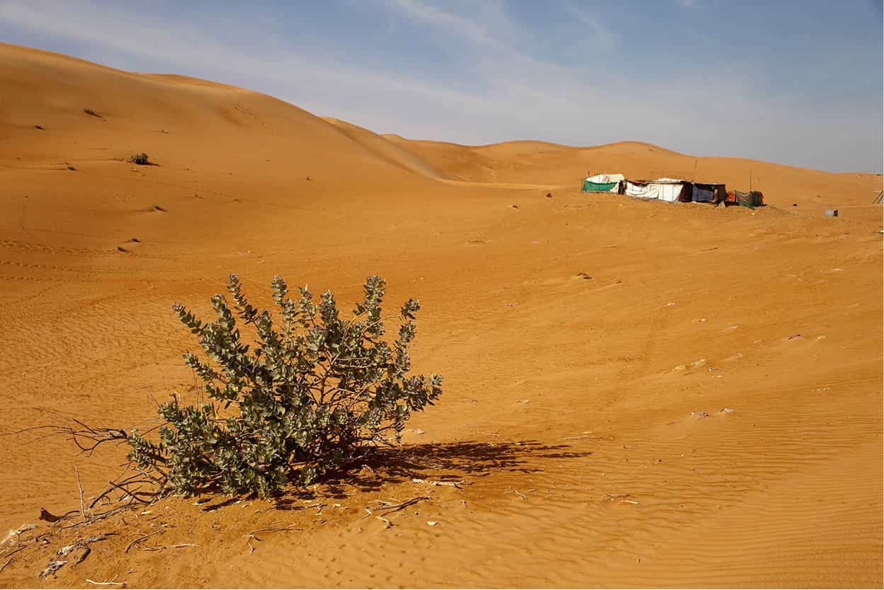 Sharqiya Sands Magnificent stretch of untamed desert with huge wind-blown - photo 11