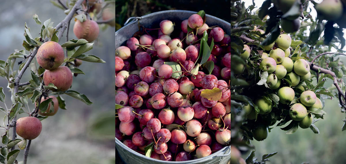 My love affair with cider began way back in the late 1980s when I first met - photo 8