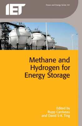 Rupp Carriveau (editor) - Methane and Hydrogen for Energy Storage (Energy Engineering)