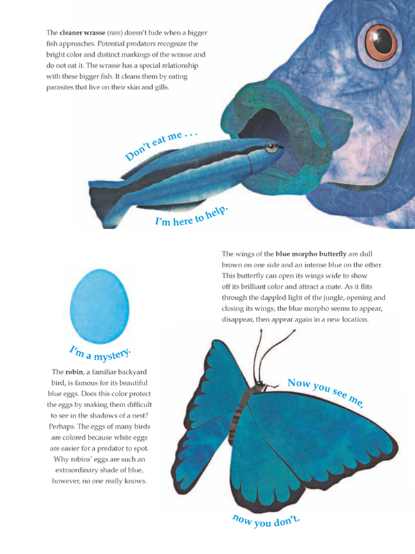 The cleaner wrasse rass doesnt hide when a bigger fish approaches Potential - photo 11