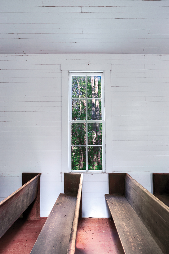 Pews and ladybugs Historic Pleasant Ridge Church Whitetail deer are - photo 19