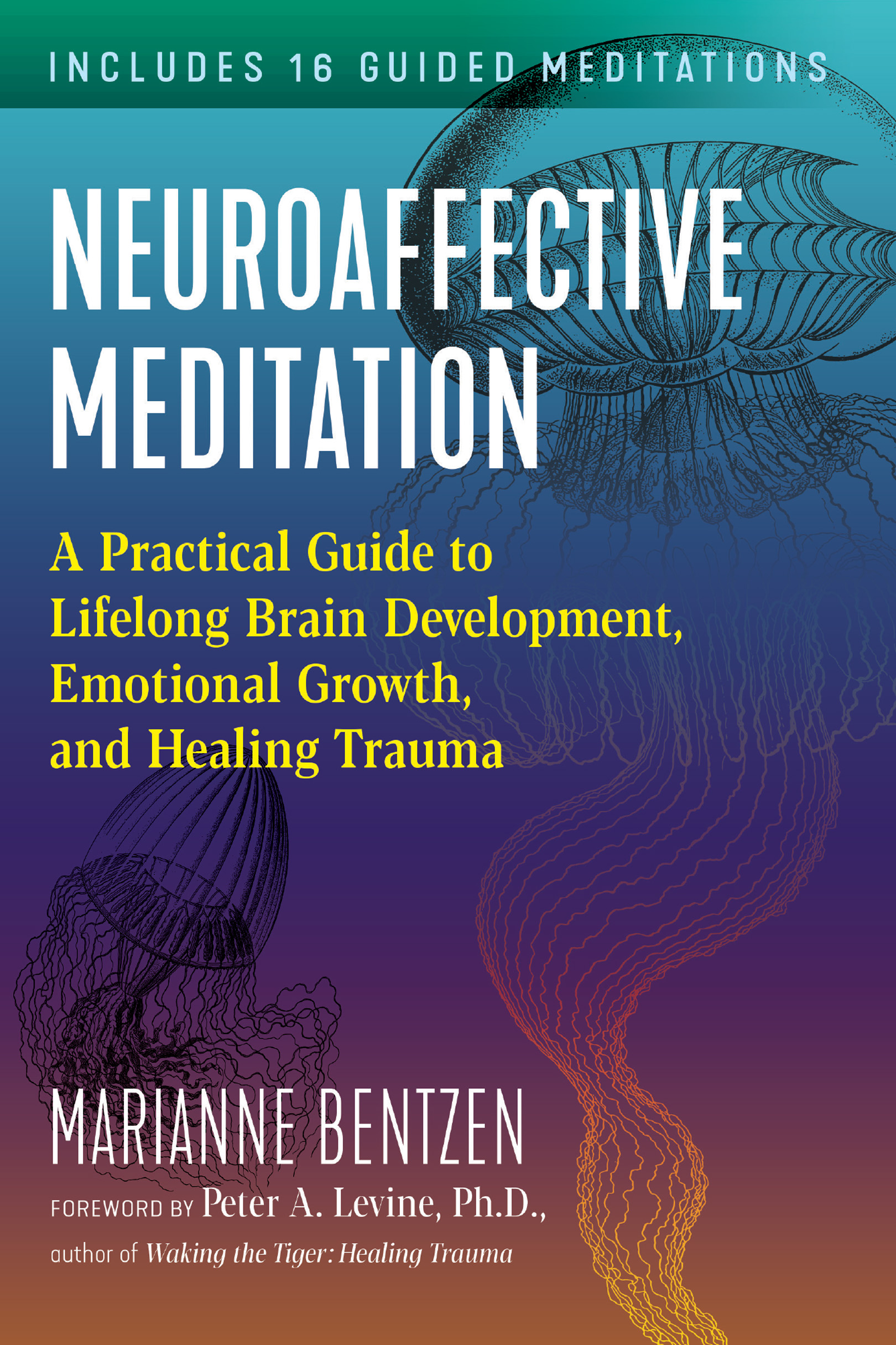 NEUROAFFECTIVE MEDITATION Marianne Bentzen has been a pioneer in the field of - photo 1