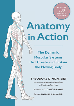 Theodore Dimon - Anatomy in Action: The Dynamic Muscular Systems that Create and Sustain the Moving Body