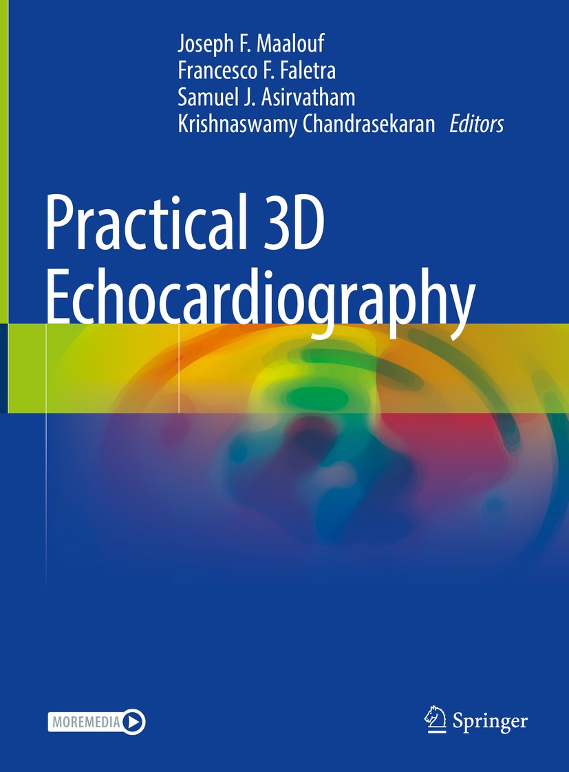 Book cover of Practical 3D Echocardiography Editors Joseph F Maalouf - photo 1