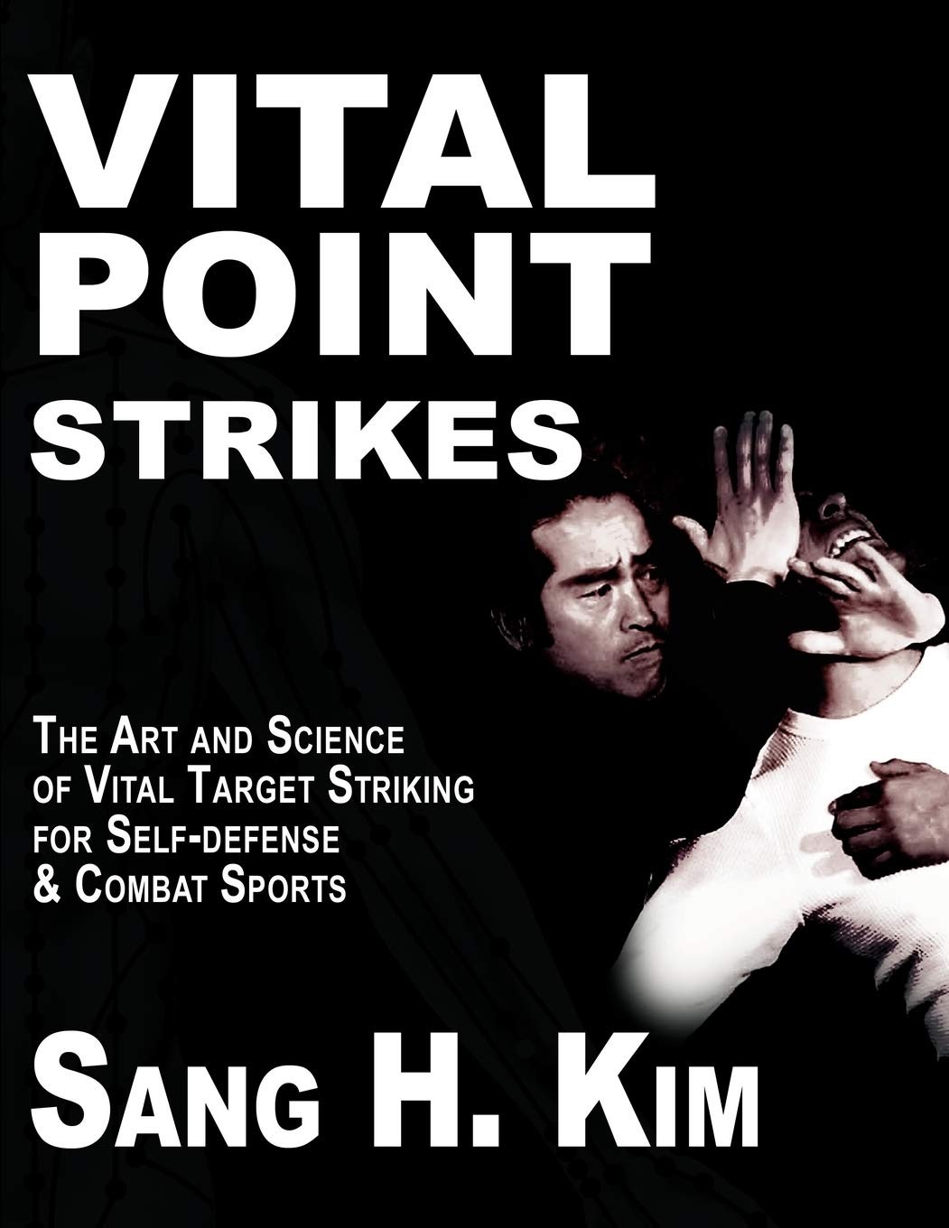 VITAL POINT STRIKES THE ART SCIENCE OF STRIKING VITAL TARGETS FOR - photo 1