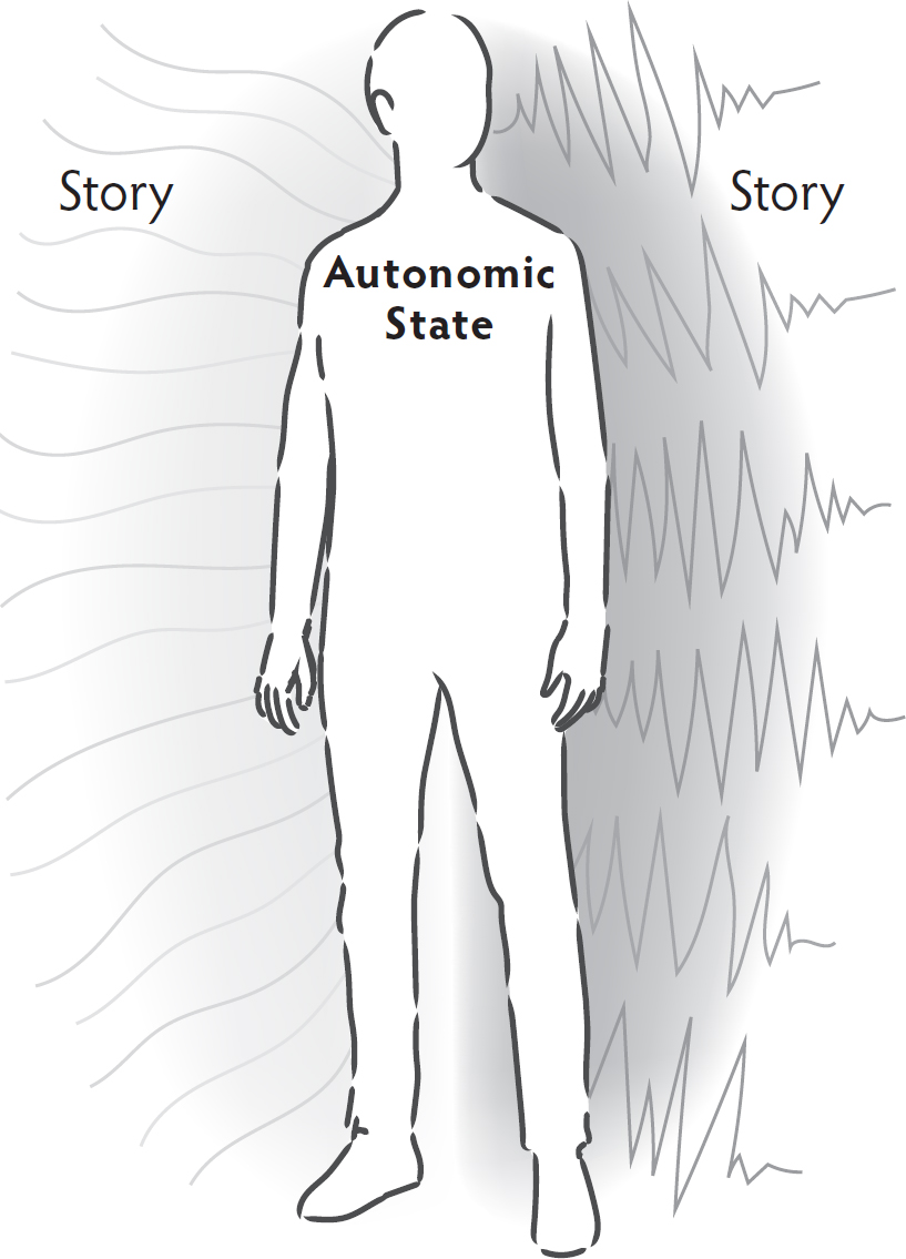 Polyvagal Theory is a theory of the ways the autonomic nervous system works - photo 3