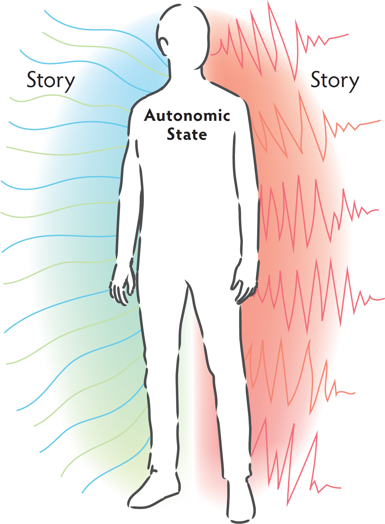 Stories about self the world and relationships are based in autonomic state - photo 4