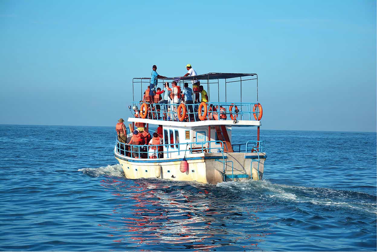 Whale-watching Southern Sri Lanka offers arguably the best place in the world - photo 13